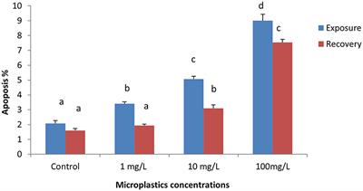 Microplastics-Induced Eryptosis and Poikilocytosis in Early-Juvenile Nile Tilapia (Oreochromis niloticus)